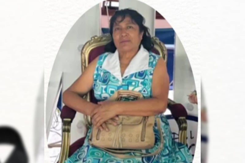 maestra y taxista Irma Hernández