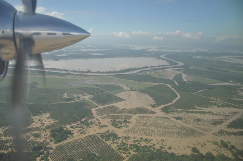 Río Pánuco