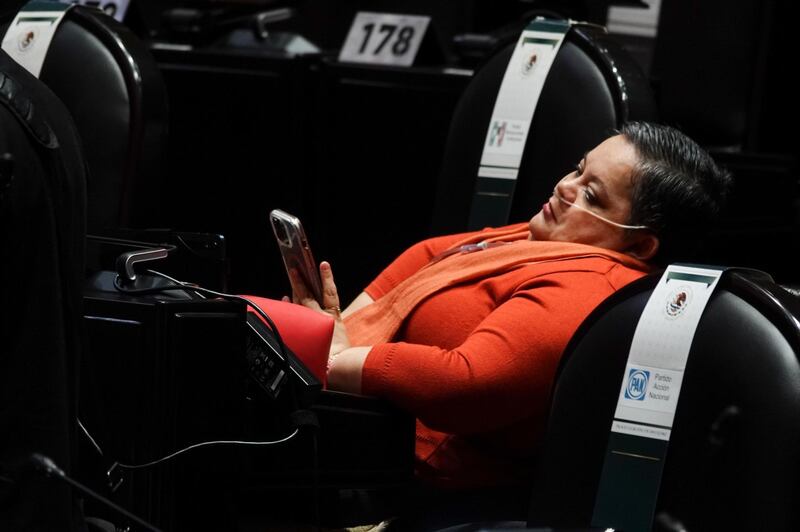 norma-aceves-pri