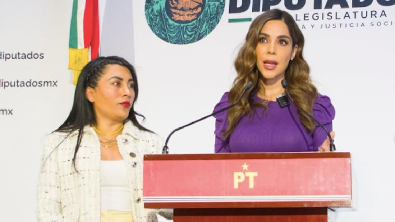 Diana Karina Barreras, diputada del PT