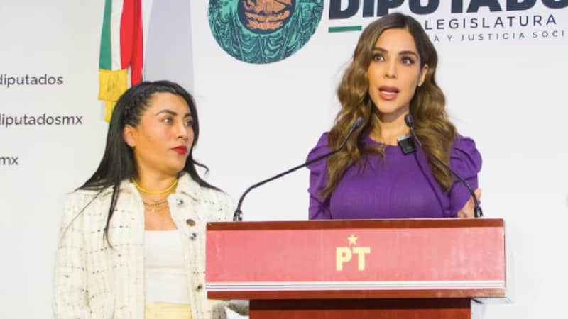 Militantes de Morena y el PT destaparon a Diana Karina Barreras para 2027. Imagen promocional