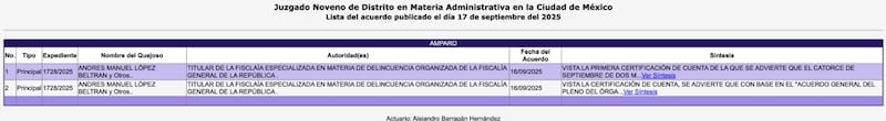 Amparo de los hijos de AMLO