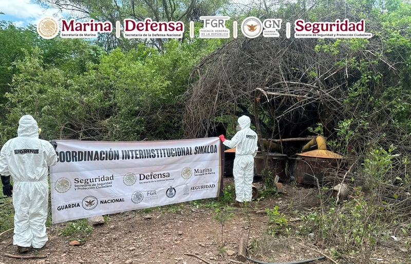 Desmantelamiento narcolaboratorio