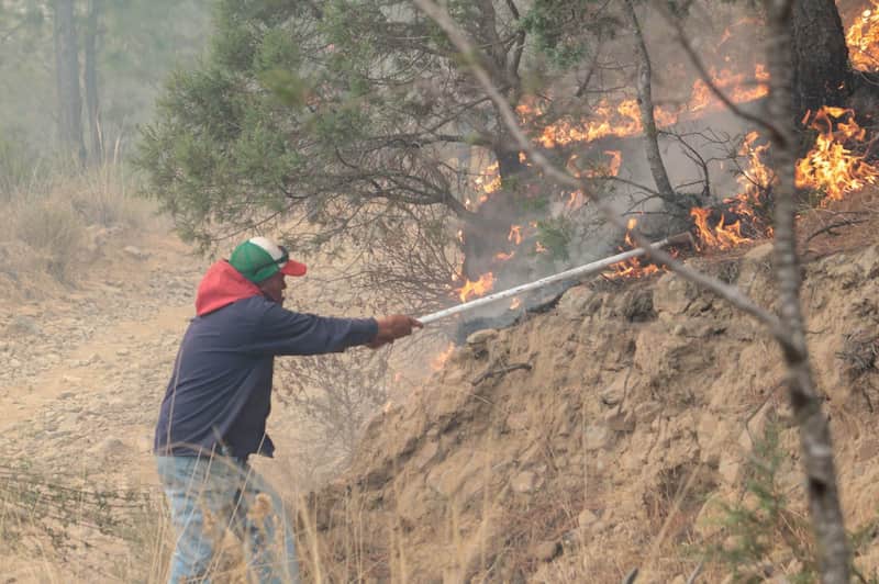 Ejidatarios y voluntarios continúan la lucha contra el fuego que desde hace 3 días consume la zona boscosa de ejidos del nororiente del estado de Tlaxcala. Las imágenes en el cerro "El Vergel", del ejido Buena Vista, perteneciente al municipio de Altzayanca, a dónde han acudido también miembros de las Fuerzas Rurales y Protección Civil.Cabe resaltar la suma de la población civil que con sus propios medios han hecho llegar ayuda ante esta catástrofe ambiental. Imágen