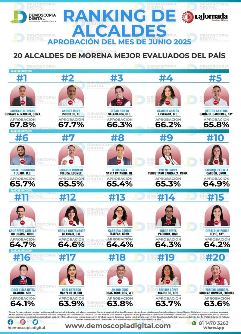 Demoscopia Digital