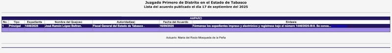 Amparo de los hijos de AMLO