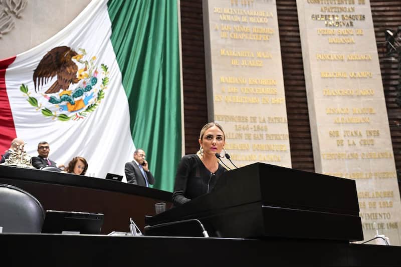 reforman ley de turismo para proteger a las infancias la diputada en sesión de la cámara alta