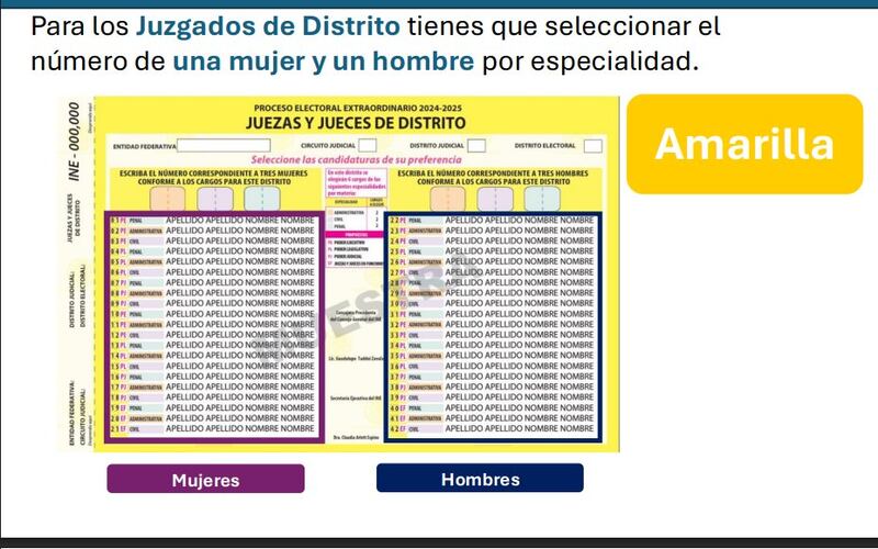 Boletas para elección PJ
