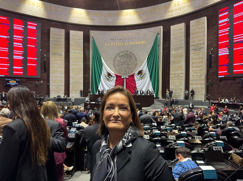 La actual diputada de Morena formaba parte del gobierno federal cuando ocurrió lo del fobaproa Patricia