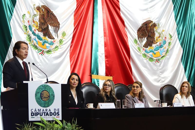 Mario Delgado en el Senado