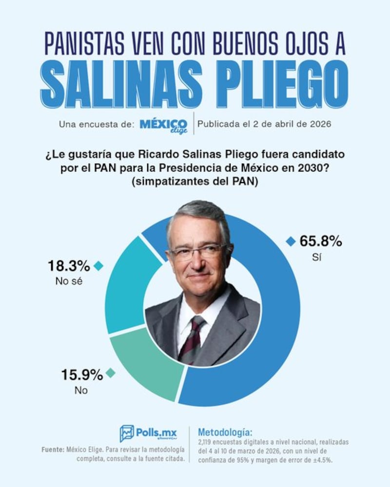 Panistas quieren a Ricardo Salinas Pliego como candidato