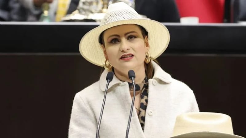 Guadalupe Mendoza Arias, diputada federal independiente e integrante del Movimiento del Sombrero Guadalupe Mendoza Arias
