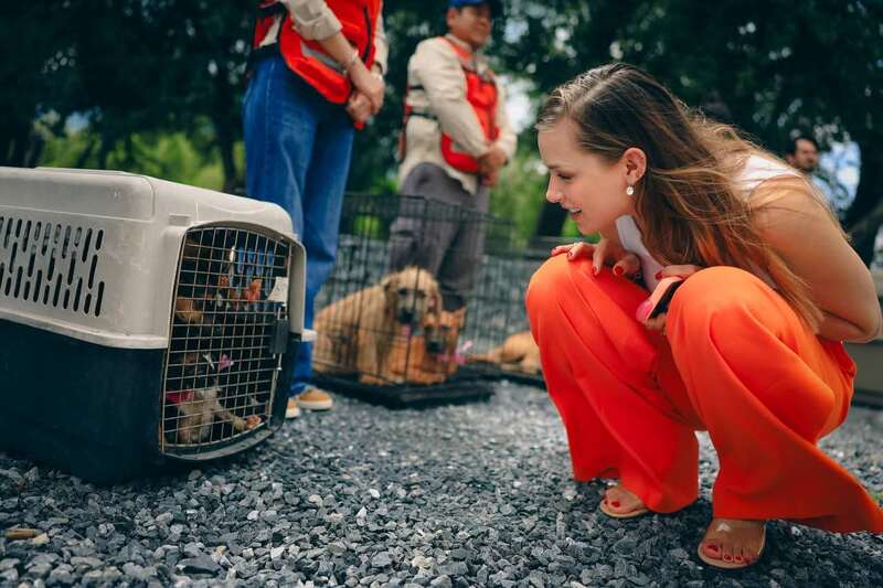 Mariana Rodríguez, primera dama de Nuevo León, exhortó a los ciudadanos de su entidad a tomar acciones para el respeto y cuidado de la vida animal. Imagen de Mariana Rodríguez junto a animales domésticos.