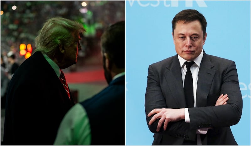 Elon Musk Salida Gobierno Trump