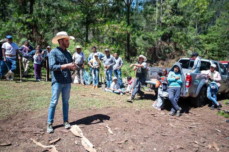 En la reforma se planea incrementar la pena a quien use instrumentos para dañar a los bosques Miembros del PVEM en trabajo de campo con la población