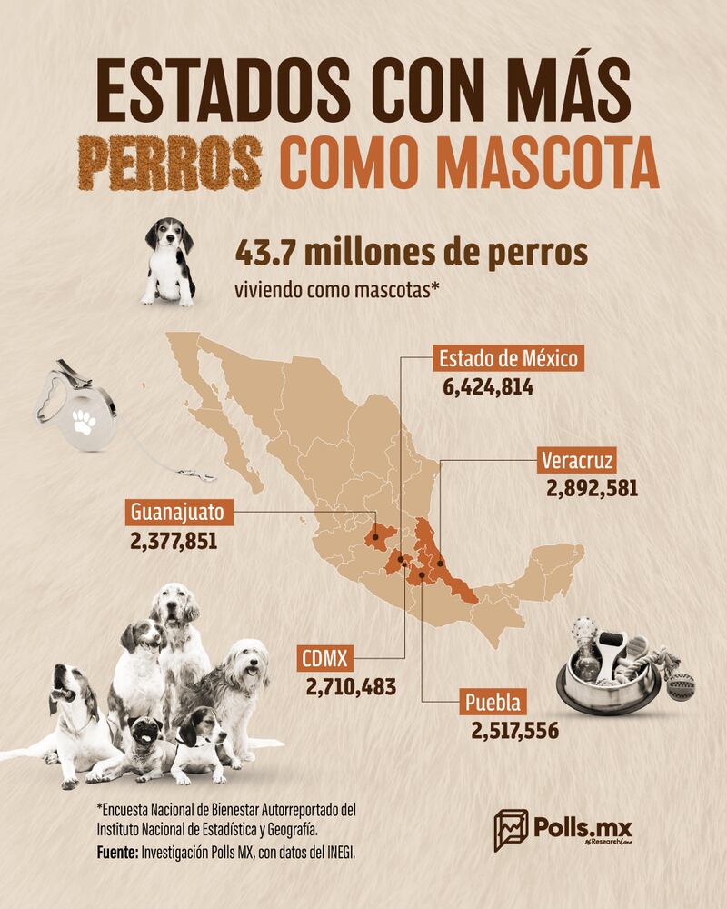 Estados con más perritos en México