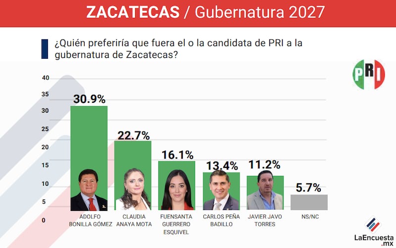 Los posibles aspirantes del PRI en Zacatecas