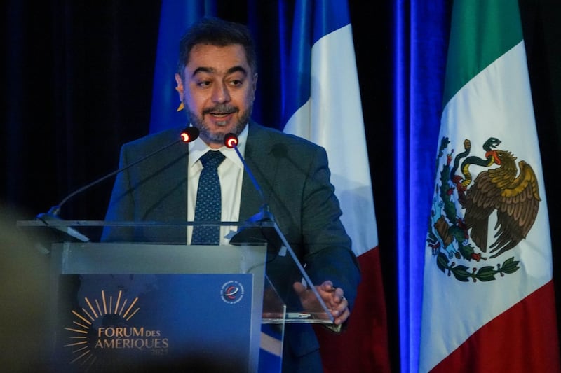 Vidal Llerenas