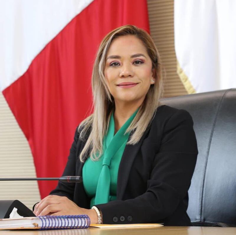 Luz Itzel Mendo PVEM