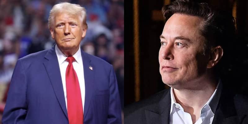 Aquí te contamos por qué se acabó la amistad entre Elon Musk y el presidente Donald Trump El presidente y el exasesor del gobierno de EU