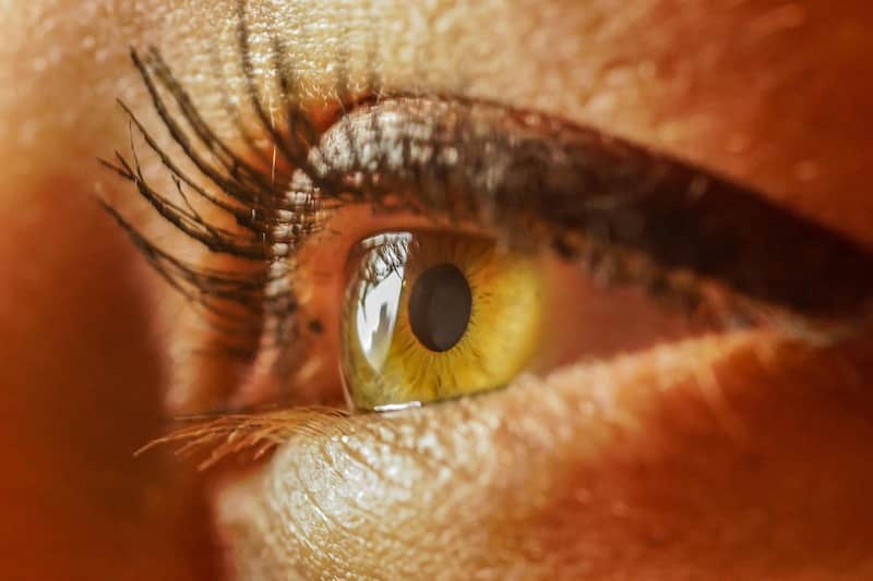 Aspectos del iris de un ojo. El iris de un ojo.