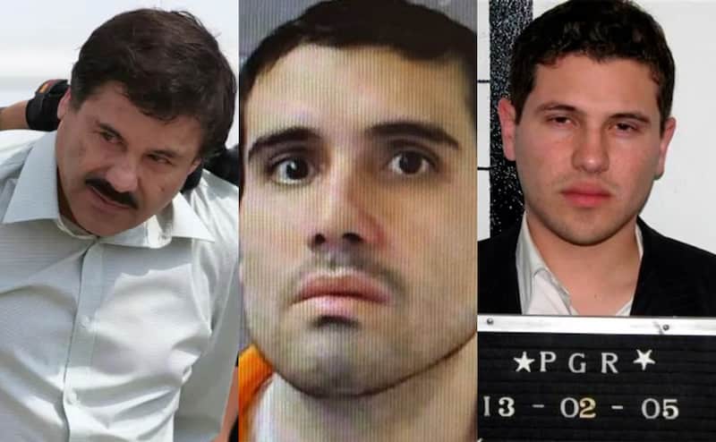 El Chapo Guzmán y Los Chapitos Ovidio Guzmán delató a 'El Chapo Guzmán' y 'Los Chapitos' en su acuerdo de culpabilidad
