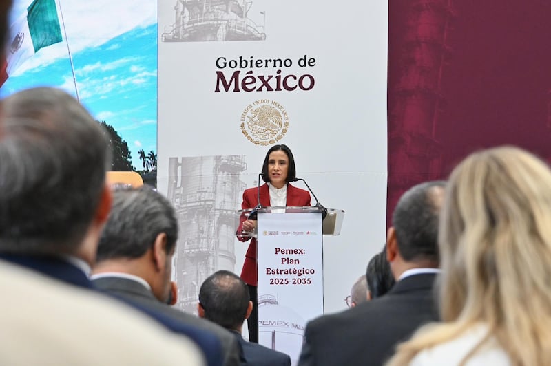 Luz Elena González, secretaria de Energía