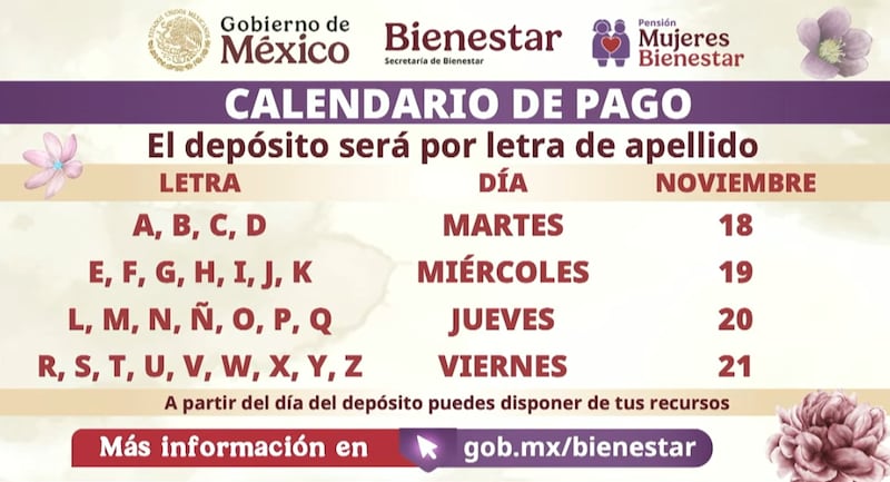 La secretaria del Bienestar, Ariadna Montiel, informó que este 2025 se cierra con 18.4 millones de beneficiarios sumando todos los programas sociales. Programas del Bienestar