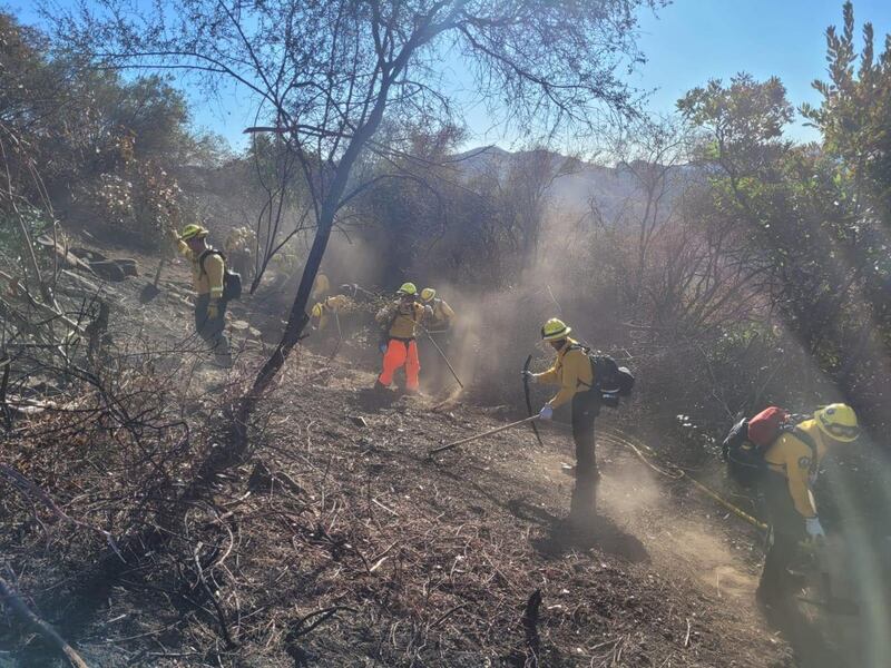 Bomberos mexicanos en California