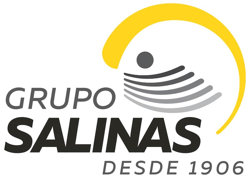 Logo Grupo Salinas Logo Grupo Salinas
