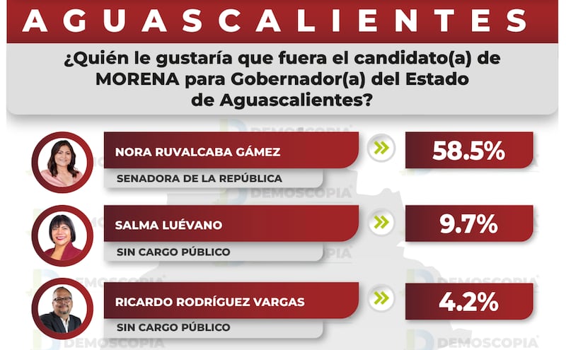 Demoscopia Aguascalientes Nora Ruvalcaba