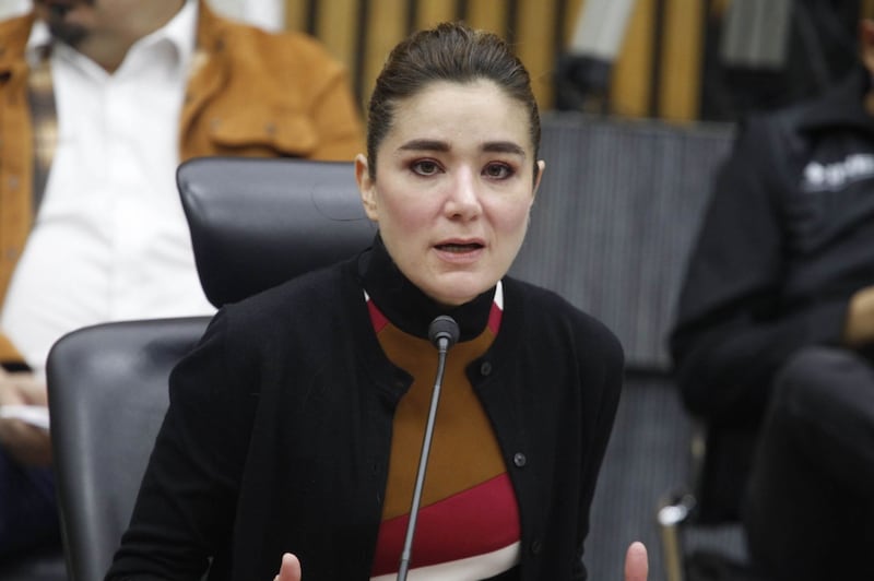 Dania Ravel Cuevas, Consejera Electoral.