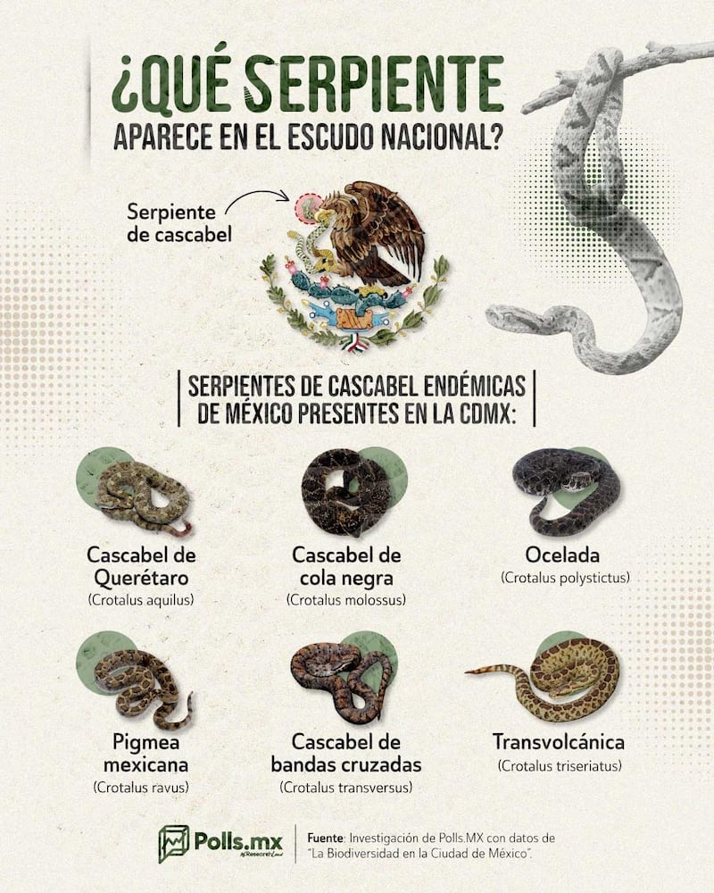 Serpientes endémicas en la CDMX