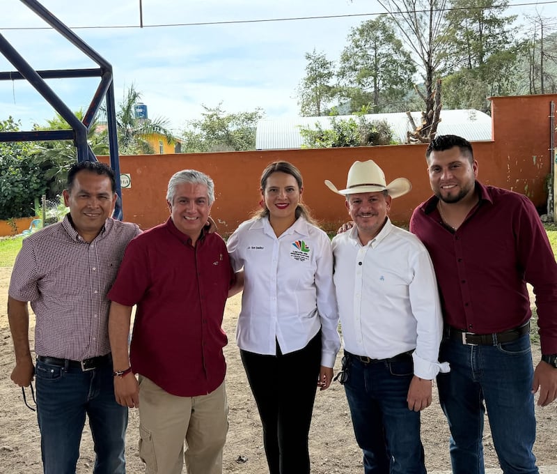 Sin descripción Morenistas entregan despensas a afectados en Querétaro con branding de un diputado federal