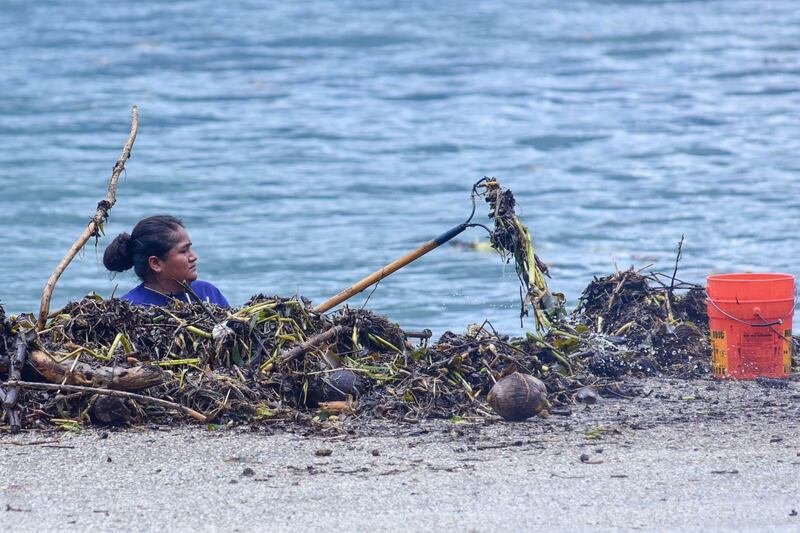 Playas no aptas en Acapulco