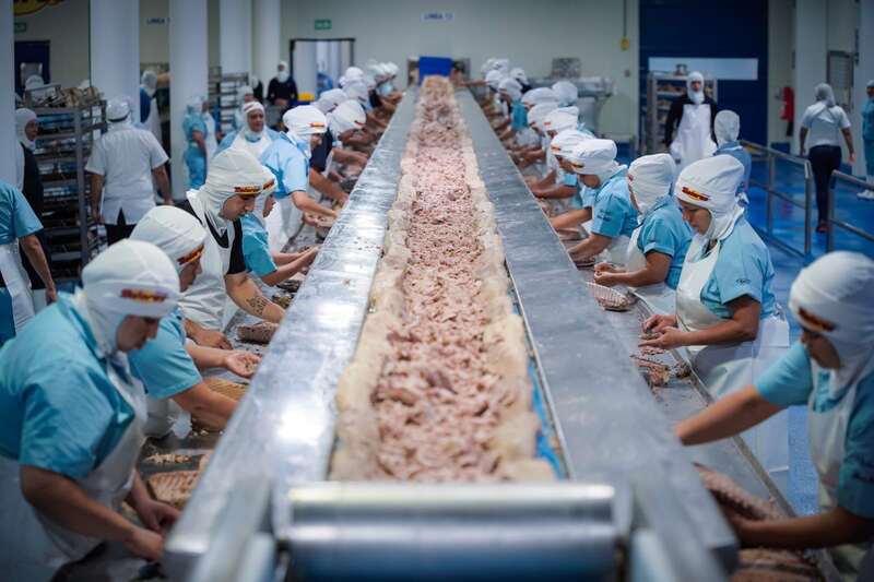 El estado de Sinaloa ofrecerá 500 puestos de trabajos para mujeres. La entidad sinaloense abrirá vacantes para cumplir con los objetivos de inclusión laboral.