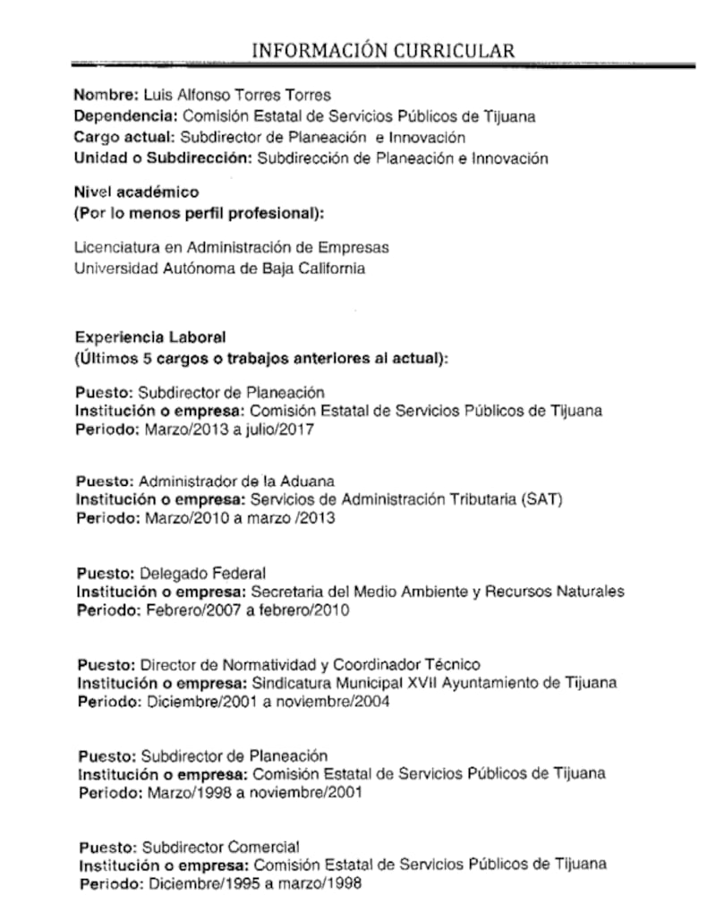 curriculum-luis-torres