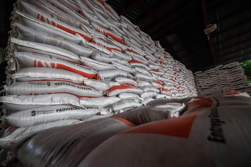 Gobierno de Sinaloa hace entrega de fertilizante costales de fertilizante apilados