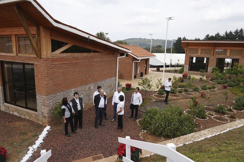 Universidad del Bienestar