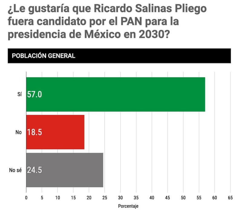 Salinas Pliego presidenciable PAN 2030