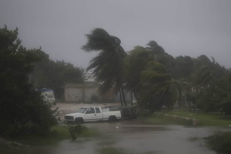 Temporada de lluvias y ciclones. Aspectos de palmeras y una camioneta siendo afectadas por huracán.