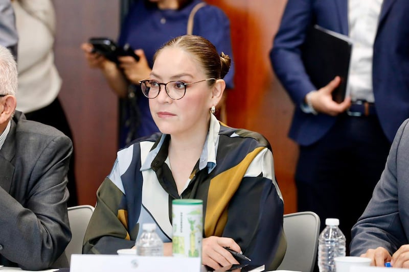 Verónica Díaz Robles