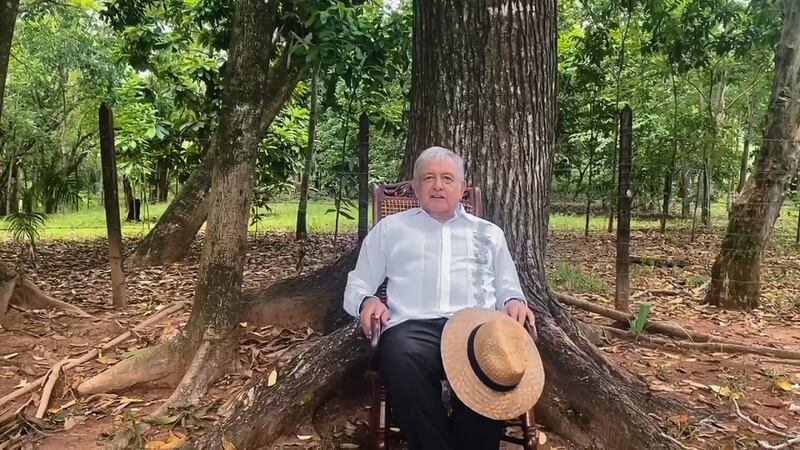 amlo-palenque