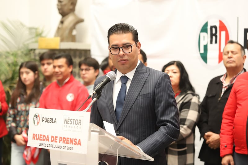 Néstor Camarillo