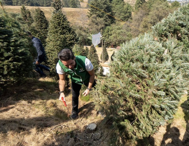 Pepe Couttolenc Pepe Couttolenc