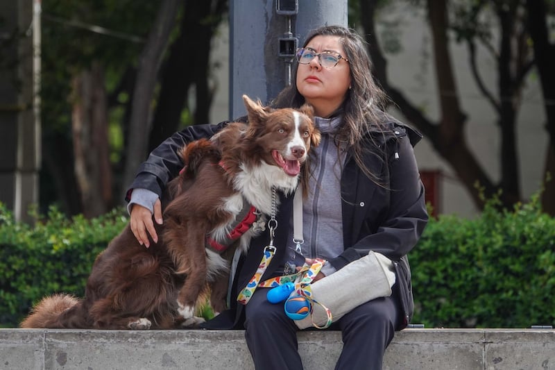Día Mundial del Perro
