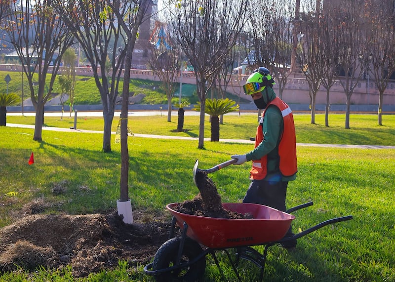 Jornada Nacional de Reforestación