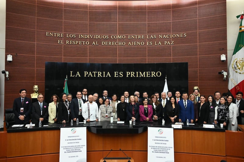 Comparecencia de Luz Elena González Escobar, secretaria de Energía