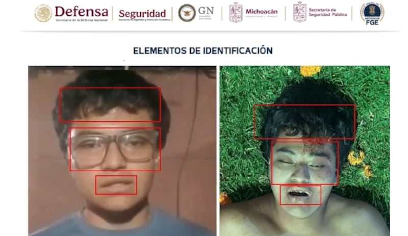 De acuerdo a la Fiscalía General de Michoacán, Víctor Manuel Ubaldo Vidales se habría ausentado en su casa desde una semana antes del asesinato. Víctor Manuel Ubaldo Vidales