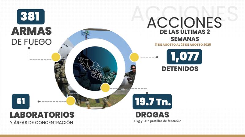 Datos de la Estrategia Nacional de Seguridad